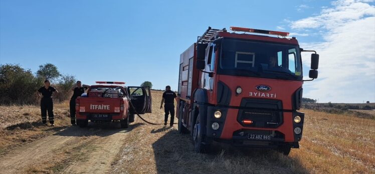 Edirne'de çıkan yangında 100 dönüm tarım arazisi zarar gördü