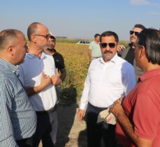 Hatay Valisi Mustafa Masatlı, Amik Ovası'nda pamuk hasadına katıldı