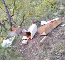 Kastamonu'da köye inen ayılar arı kovanlarına zarar verdi