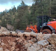 Adana'da yağış nedeniyle yaylada mahsur kalan 11 çoban ve hayvanları kurtarıldı
