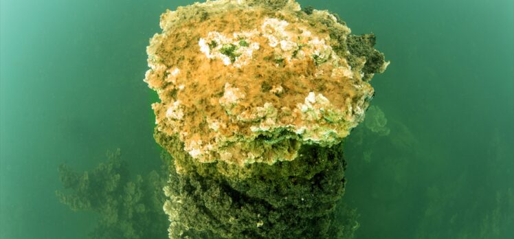 Dalgıçlar, Van Gölü'nün yıllar önce yükselmesiyle su altında kalan antik yolda yürüdü