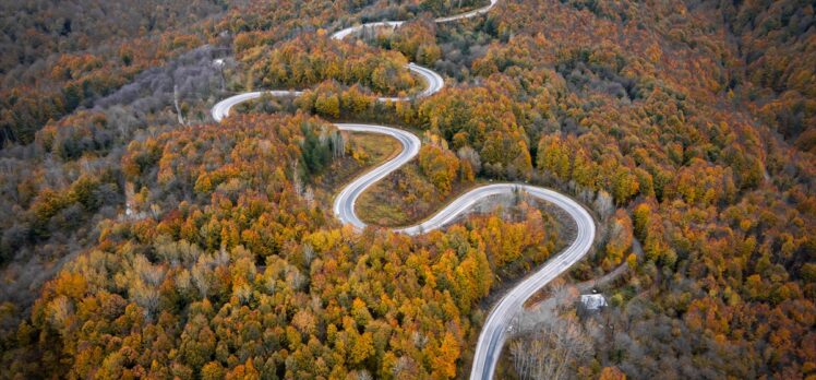 Domaniç Dağları'ndaki kıvrımlı yollar sonbaharın renkleriyle buluştu
