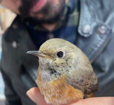 Erzurum'da yaralı bulunan kızılkuyruk kuşu tedavisinin ardından doğaya bırakıldı