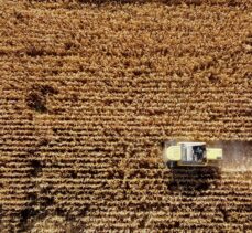 Konya'da ekim alanı artan mısırda sıcaklığa bağlı verim kaybı bekleniyor