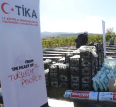 TİKA'dan Kuzey Makedonya'daki çilek yetiştiricilerine destek