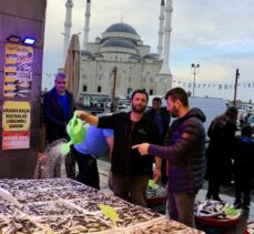 Trabzon'da hamsinin kilogramı 35 liradan tüketiciyle buluşturuluyor