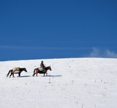Van'da besicilerin karla kaplı yaylalardan dönüş yolculuğu sürüyor