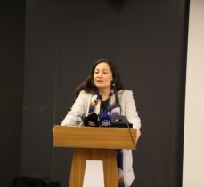 Van'da “Kültür Varlıklarını Koruma ve Kaçakçılıkla Mücadele” semineri düzenlendi