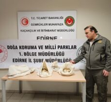 Bulgaristan'dan Türkiye'ye gelen yolcu treninde 33 piton ele geçirildi