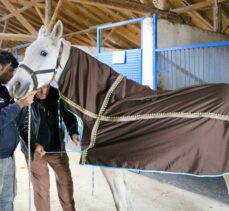 Eskişehirli kadınlar kurdukları kooperatifte yarış atları için malzeme üretiyor