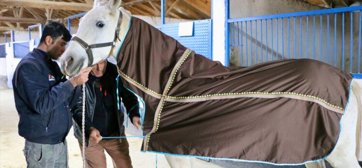 Eskişehirli kadınlar kurdukları kooperatifte yarış atları için malzeme üretiyor