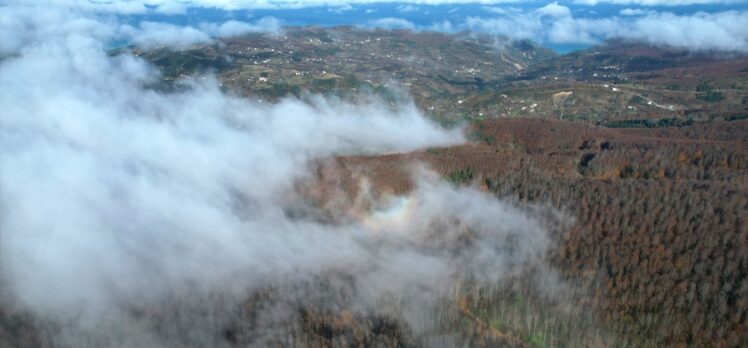 Kastamonu'da vadilere çöken sis ve ormanlık alanlar dron ile görüntülendi