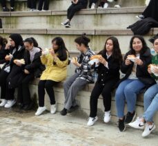 Sinop'ta şenlikte öğrencilere bir ton hamsi ikram edildi