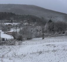 Sinop'un ilçelerinde kar yağışı etkili oldu