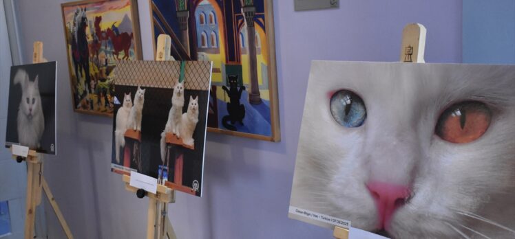 Tahran'da AA fotoğraflarıyla “Türk Kedileri” sergisi açıldı