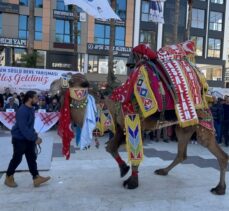 Antalya'da “en süslü deve” yarışması düzenlendi