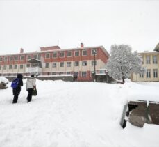 Bingöl ve Siirt'te kar nedeniyle 175 köy yolu ulaşıma kapandı