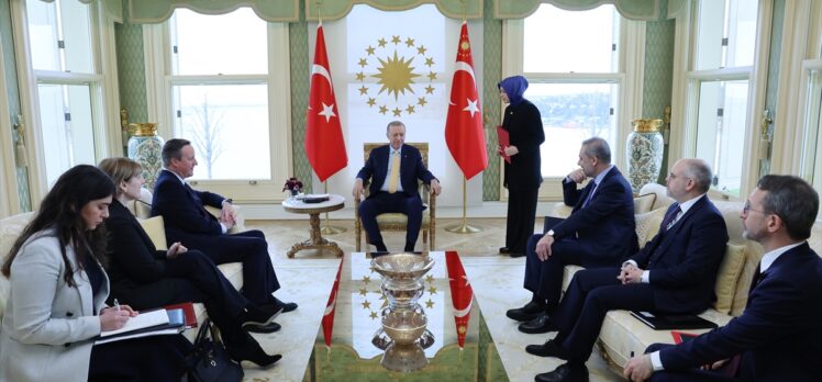 Cumhurbaşkanı Erdoğan, İngiltere Dışişleri Bakanı Cameron'ı kabul etti
