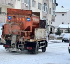 Erzurum, Ardahan ile Kars'ta kar yağışı ve soğuk hava etkili oluyor