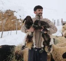 Hakkari'de etkili olan kar, hayvanlarını köylere indiren besicilerin işini zorlaştırdı