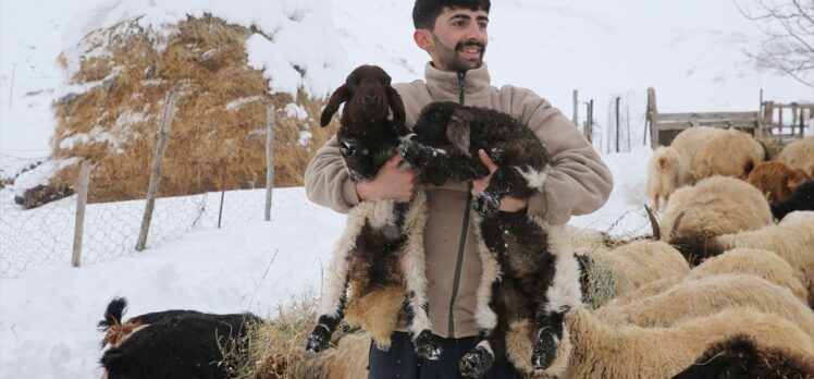 Hakkari'de etkili olan kar, hayvanlarını köylere indiren besicilerin işini zorlaştırdı
