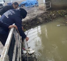 Hatay'da sulama kanalında erkek cesedi bulundu