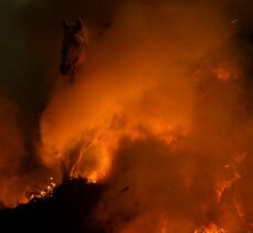 İspanya'da “kötülükleri kovmak için” atlar ateş üzerinden atlatıldı