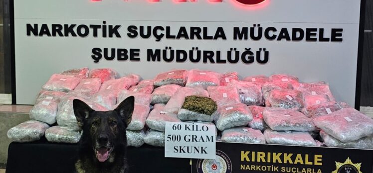 Kırıkkale'de tırın dorsesine gizlenmiş 60,5 kilogram skunk ele geçirildi