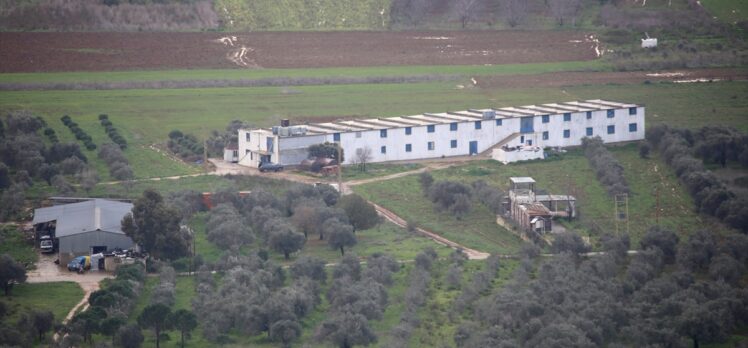Lübnan'ın güneyindeki çiftçiler, İsrail ordusu ile Hizbullah'ın çatışmalarının uzamasından endişe duyuyor