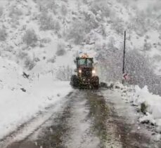 Bingöl, Şırnak ve Siirt'te kar nedeniyle 158  köy yolu ulaşıma kapandı