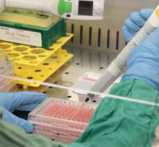 Türk bilim insanları koronavirüse karşı hazırlanacak ilaç için antikor üretti