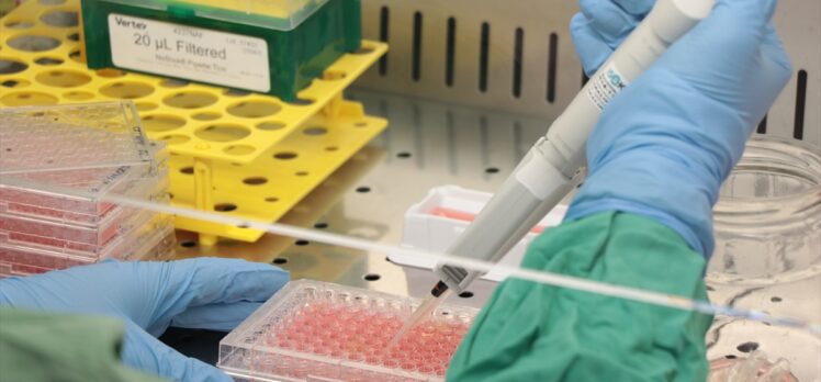 Türk bilim insanları koronavirüse karşı hazırlanacak ilaç için antikor üretti