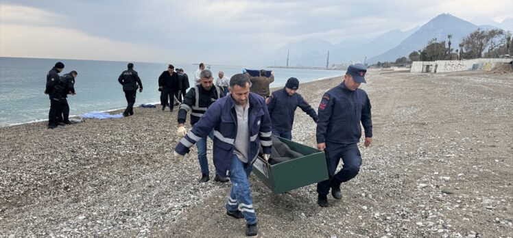 Antalya'da sahilde erkek cesedi bulundu