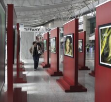 Başkentte “Hayalet Ağlar ve Marmara'ya hayat verenler” fotoğraf sergisi açıldı