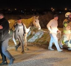Düzce'de hafif ticari araç at arabasına çarptı, 5 kişi yaralandı