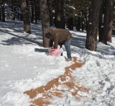 Kars'ta yaban hayvanları için karla kaplı doğaya yem bırakıldı