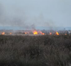GÜNCELLEME – Kızılırmak Deltası Kuş Cenneti'nde çıkan yangın kontrol altına alındı