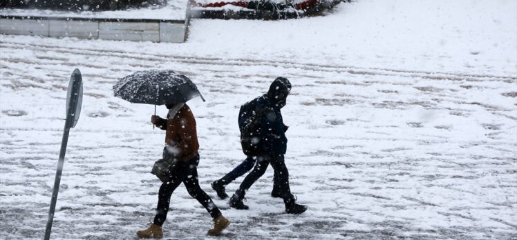 Van, Muş ve Bitlis'te kar nedeniyle 159 yerleşim yerinin yolu kapandı