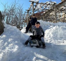 Van, Hakkari, Bitlis ve Muş'ta karla mücadele çalışmaları sürüyor
