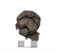 Çatalhöyük'te 8 bin 600 yıllık “ekmek” bulundu