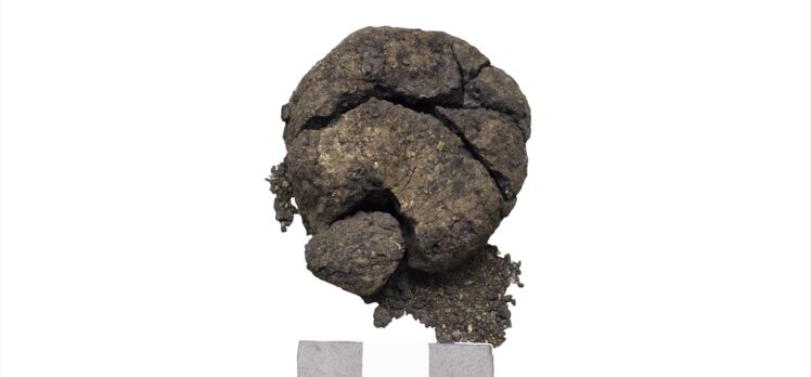 Çatalhöyük'te 8 bin 600 yıllık “ekmek” bulundu
