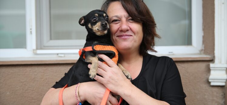 Edirne'de bir hayvanseverin köpeği “Ali Nazik”, güvenlik kameraları incelenerek bulundu