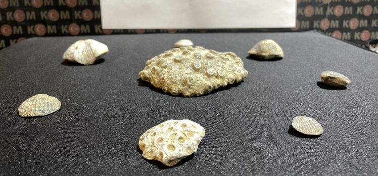 Kayseri'de evinde fosil ele geçirilen şüpheli gözaltına alındı