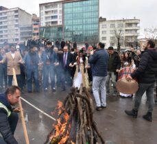 Siirt'te Nevruz Bayramı kutlandı
