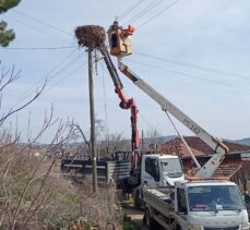 Sinop'ta leylekler için elektrik direklerine yapay yuvalar yerleştirildi