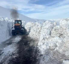 Şırnak'ta 2 bin 230 rakımlı Tanin Geçidi'nde kar temizleme çalışması devam ediyor