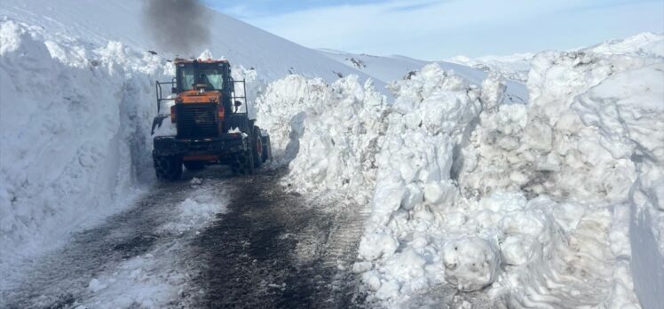 Şırnak'ta 2 bin 230 rakımlı Tanin Geçidi'nde kar temizleme çalışması devam ediyor
