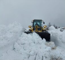 Karadeniz'de 4 ilde kar etkili oldu