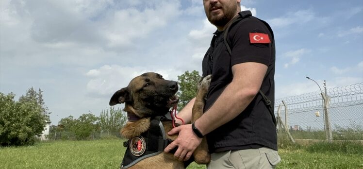 Adana'da narkotik dedektör köpeği “Hulk”un doğum günü kutlandı