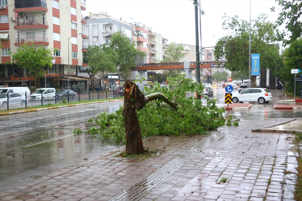 Antalya'da fırtınada devrilen ağaçlar ve uçan çatı parçaları ekiplerce temizlendi